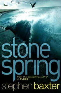 Stephen Baxter Stone spring обложка книги