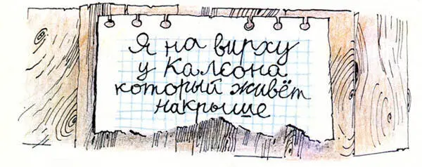 Конечно лучше всего было бы успеть вернуться домой прежде чем они найдут эту - фото 10