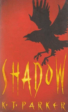 K Parker Shadow обложка книги