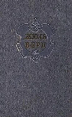 Евгений Брандис Комментарий к романам Жюля Верна Черная Индия, Пятнадцатилетний капитан и Пятьсот миллионов бегумы. обложка книги