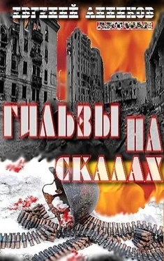Евгений Анников Гильзы на скалах обложка книги