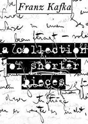 Франц Кафка - Сосед