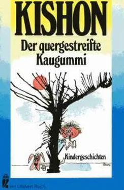 Ephraim Kishon Der quergestreifte Kaugummi обложка книги