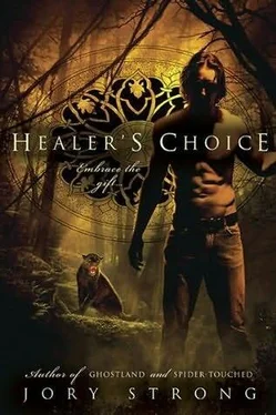 Jory Strong Healer's Choice обложка книги