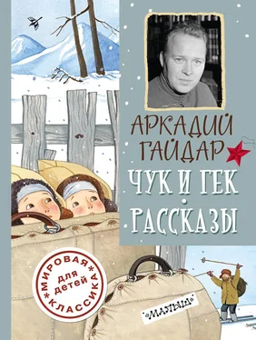 Аркадий Гайдар Чук и Гек. Рассказы обложка книги