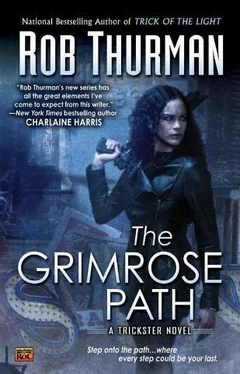 Rob Thurman The Grimrose Path обложка книги