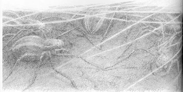 The spiders saw the sword though I dont suppose they knew what it was and at - фото 40