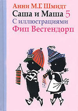 Анни Шмидт Саша и Маша - 5 обложка книги