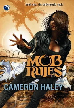 Cameron Haley Mob rules обложка книги