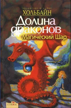 Вольфганг Хольбайн Магический шар обложка книги