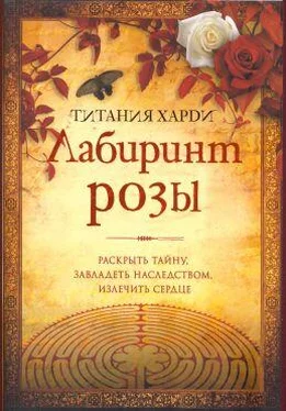 Титания Xарди Лабиринт розы обложка книги