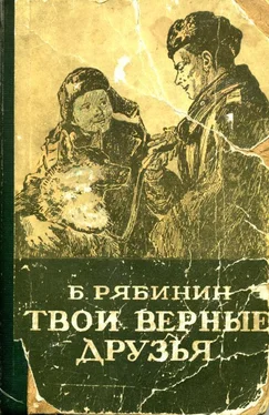 Борис Рябинин Твои верные друзья обложка книги