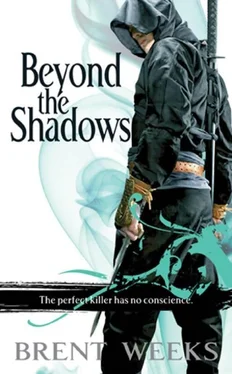 Brent Weeks Beyond the Shadows обложка книги