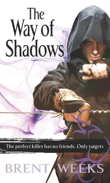 Brent Weeks Way of Shadows обложка книги