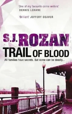 S Rozan Trail of Blood