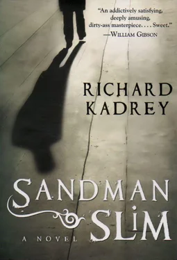 Richard Kadrey Sandman Slim обложка книги