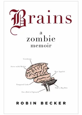 Robin Becker Brains: A Zombie Memoir обложка книги