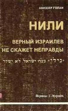 Авиэзер Голан НИЛИ - верный израилев не скажет неправды обложка книги