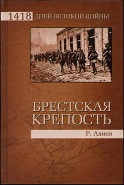 Ростислав Алиев БРЕСТСКАЯ КРЕПОСТЬ. Воспоминания и документы обложка книги