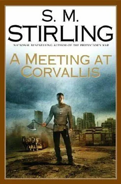 S. Stirling A Meeting At Corvallis обложка книги