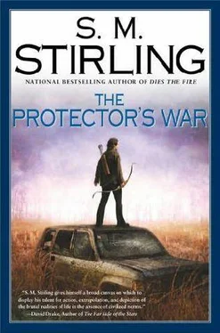 S. Stirling The Protectors war обложка книги