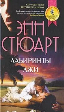 Энн Стюарт Лабиринты лжи обложка книги