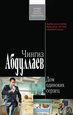 Чингиз Абдуллаев Дом одиноких сердец обложка книги