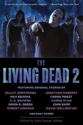 John Adams - The Living Dead 2
