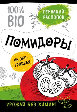 Геннадий Распопов Помидоры на экогрядках. Урожай без химии обложка книги