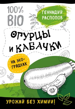 Геннадий Распопов Огурцы и кабачки на экогрядках. Урожай без химии обложка книги