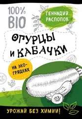 Геннадий Распопов - Огурцы и кабачки на экогрядках. Урожай без химии