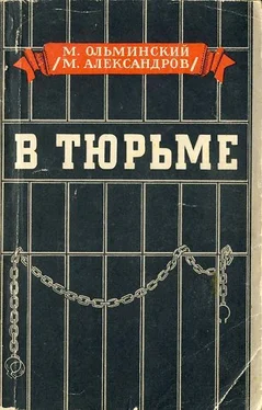 Михаил Ольминский В тюрьме обложка книги