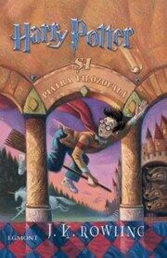 Joanne Rowling Harry Potter şi piatra filozofală обложка книги