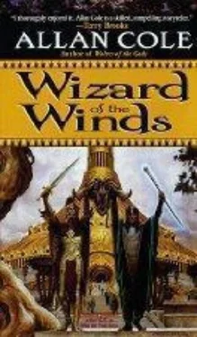 Allan COLE Wizard of the winds обложка книги