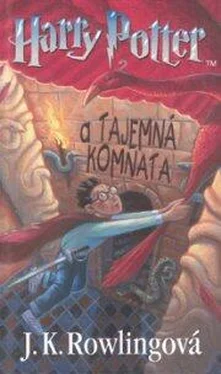 Joanne Rowlingová Harry Potter a Tajemná komnata обложка книги