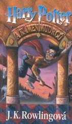 Joanne Rowlingová - Harry Potter a Kámen mudrců