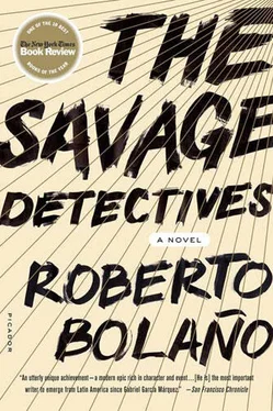 Roberto Bolaño The Savage Detectives обложка книги