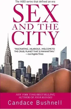 Candace Bushnell SEX and the CITY обложка книги