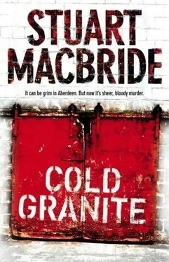 Stuart Macbride Cold granite обложка книги