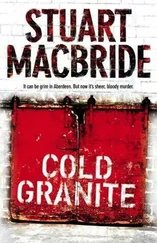 Stuart Macbride - Cold granite