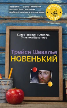 Трейси Шевалье Новенький обложка книги