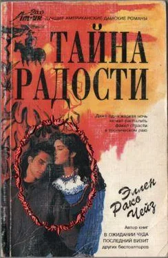 Эллен Чейз Тайна радости обложка книги