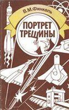 Виктор Финкель Портрет трещины обложка книги