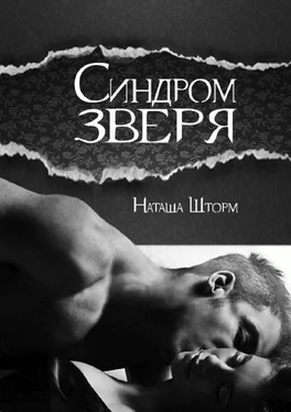 Наташа Шторм Синдром зверя обложка книги