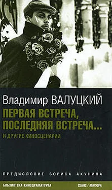 Владимир Валуцкий Первая встреча, последняя встреча... обложка книги