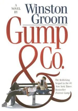 Winston Groom Gump & Company обложка книги