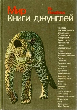 Ян Линдблад Мир Книги джунглей обложка книги