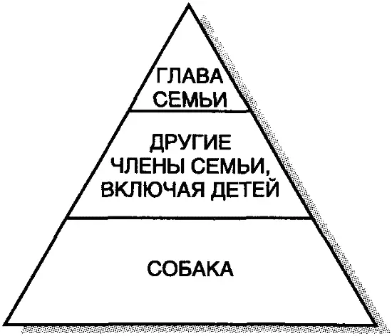 Рис 13 Социальнопсихологическая структура семьи 3го типа На рис 14 - фото 3