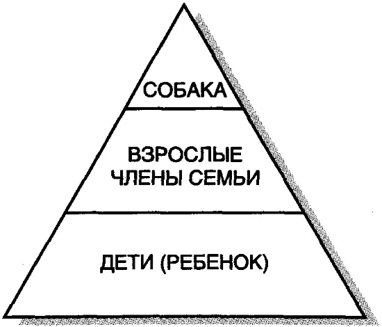 Рис 15 Социальнопсихологическая структура семьи 5го типа В семье 5го типа - фото 5