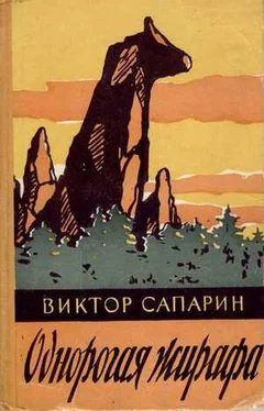 Виктор Сапарин Однорогая жирафа (сборник) обложка книги